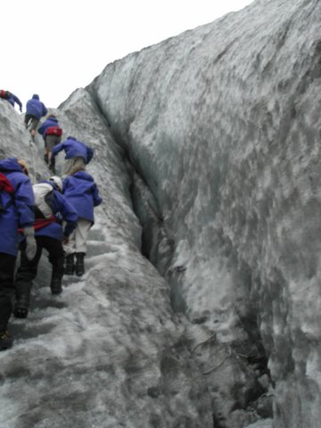 newzealandfranzjosefglaciertrack40.jpg