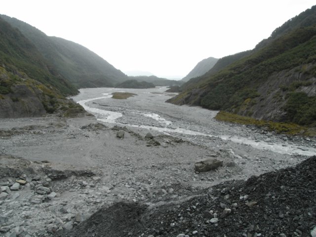 newzealandfranzjosefglaciertrack41.jpg