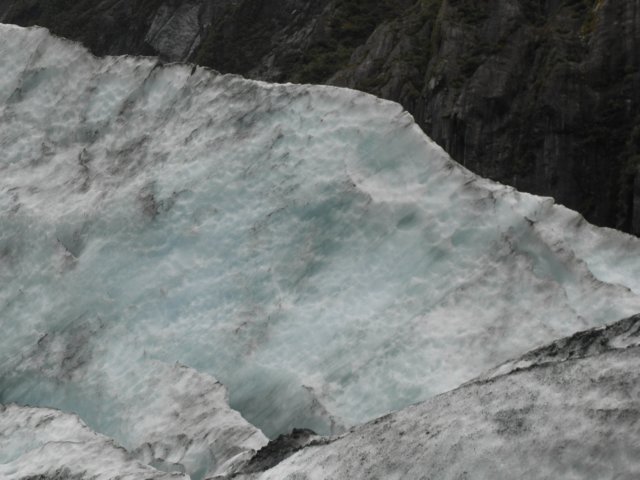 newzealandfranzjosefglaciertrack44.jpg