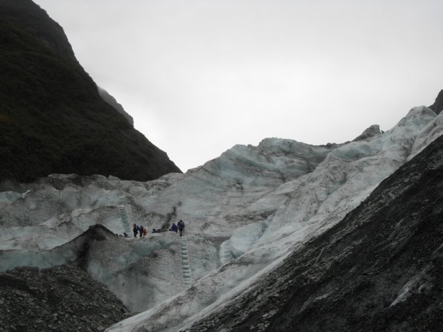 newzealandfranzjosefglaciertrack45.jpg