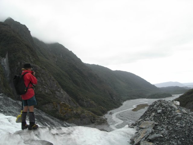 newzealandfranzjosefglaciertrack47.jpg