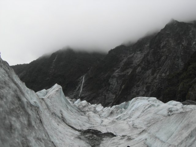 newzealandfranzjosefglaciertrack49.jpg